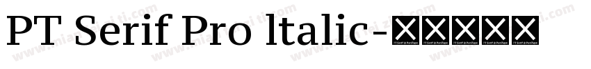 PT Serif Pro ltalic字体转换